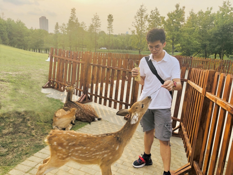 米兰的小铁匠的第一张照片--龙岩征婚网