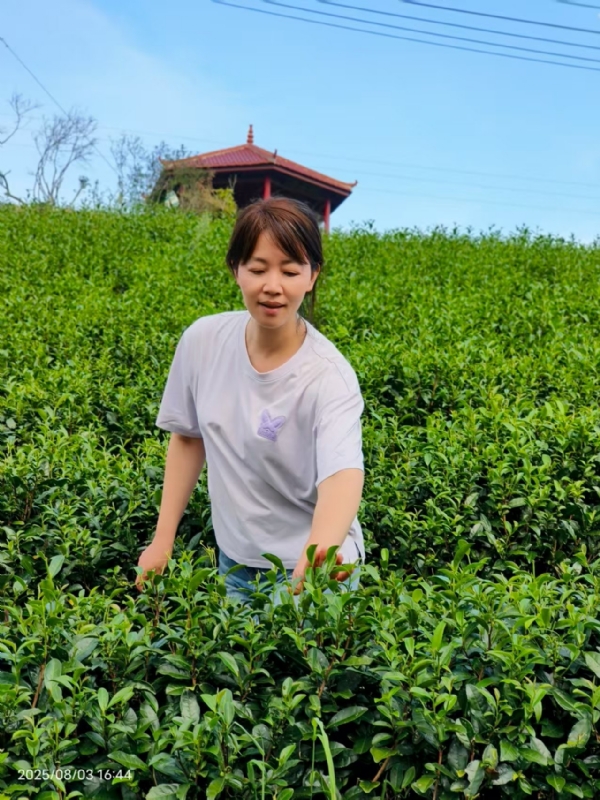 Q绮芳的第一张照片--龙岩征婚网